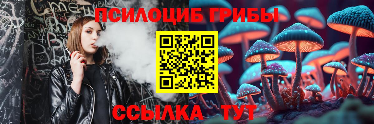 Псилоцибиновые грибы ЛСД  Вход с VPN  Лесосибирск  Псилоцибиновые грибы прущие грибы 