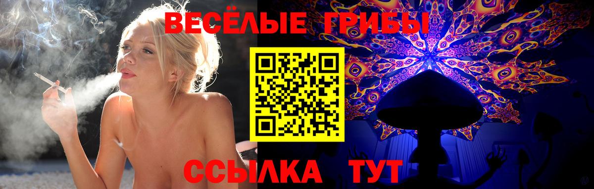 Галлюциногенные грибы Psilocybine cubensis Лесосибирск